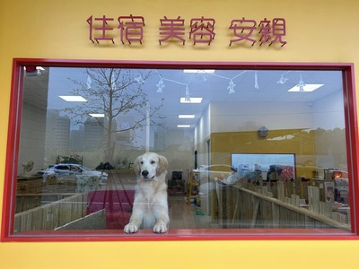 台北寵物旅館