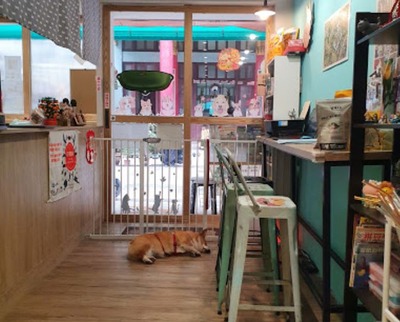 動物咖啡廳